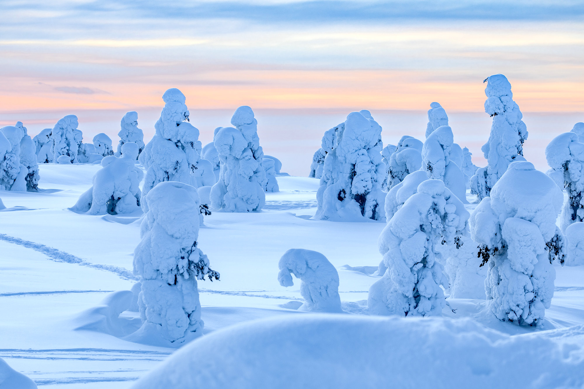 Kuusamo (Photo license: CC BY 2.0)